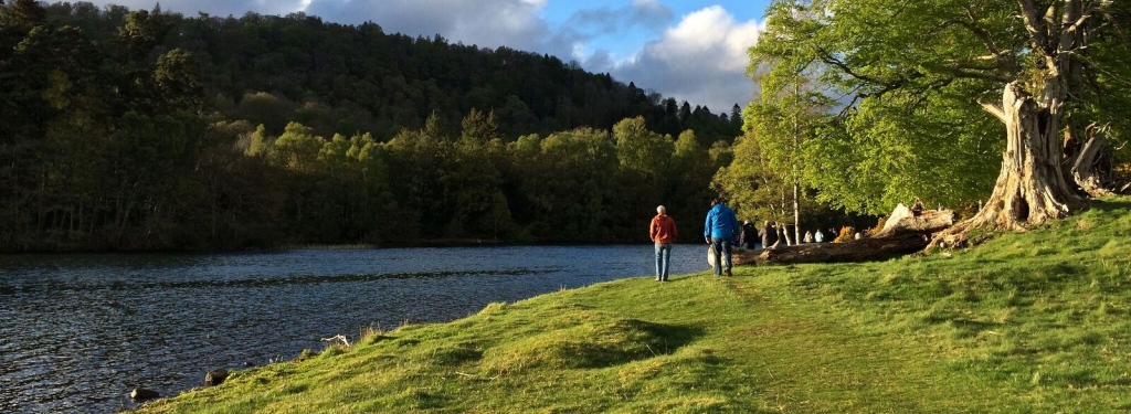 Pet-friendly - bring your favourite friend Pet-friendly - bring your favourite friend