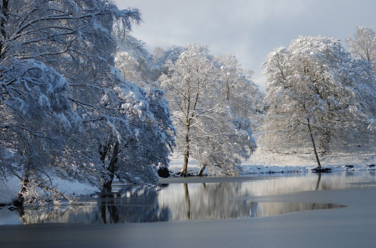 Loch Monzievaird Holiday Lodges, Crieff, Perthshire Winter